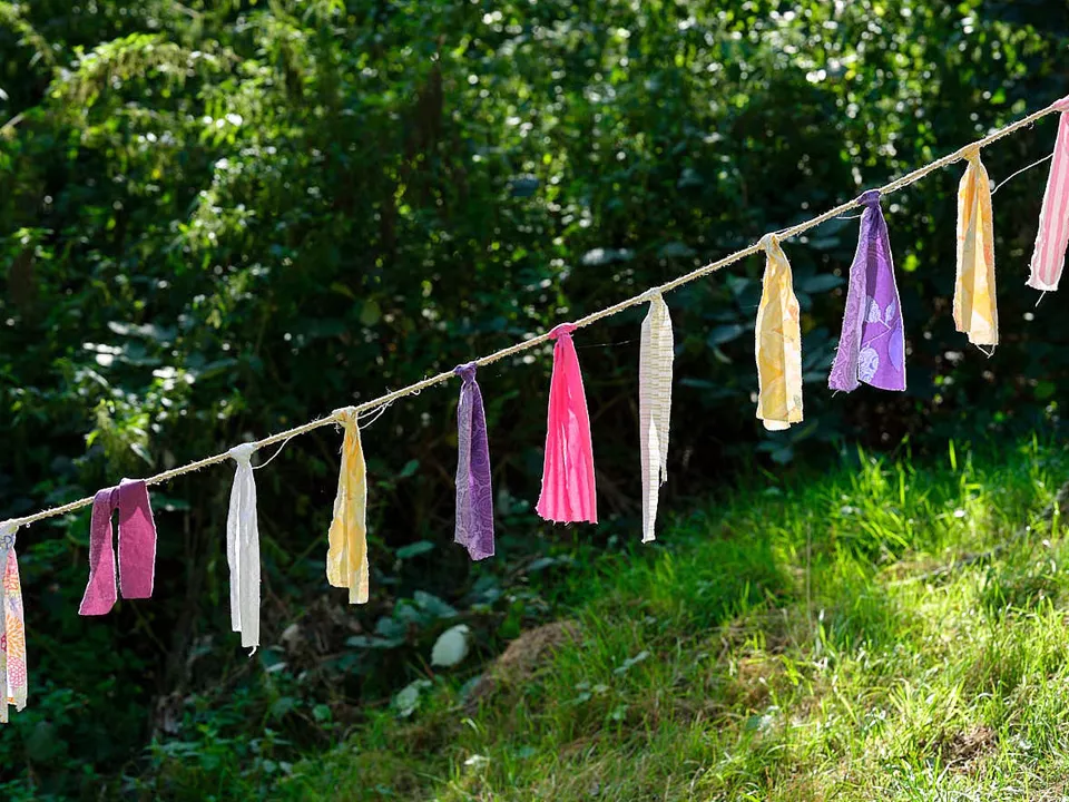 Vlaggetjes aan 1 van de bomen