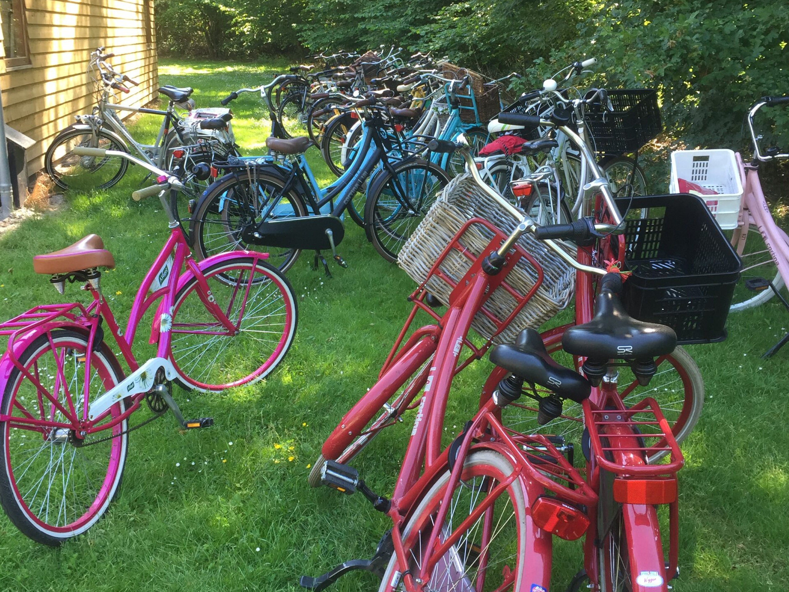 Fietsen tijdens de vakantie